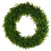 Round Boxwood Wreath 24"