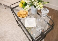 Dolce Cocktail Napkin (Set Of 4) -THE HOLIDAY SHOP barcart22 11