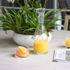 Palmetto Wine Coaster 6 Palmetto Wine Coaster -THE HOLIDAY SHOP gariscos 47 da71640d a488 4cab 84c9 568abcbbeb9b