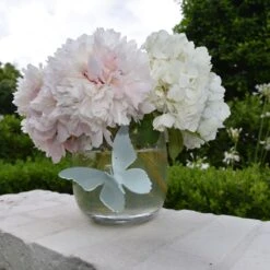 Acrylic Butterfly -THE HOLIDAY SHOP vasebutterfly